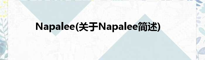 Napalee(对于Napalee简述)