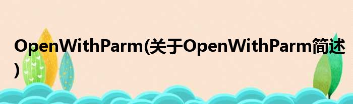 OpenWithParm(对于OpenWithParm简述)