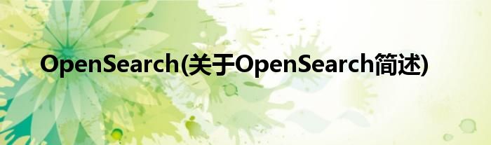 OpenSearch(关于OpenSearch简述)_城市经济网