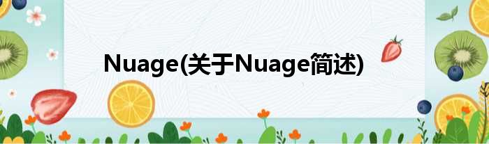 Nuage(对于Nuage简述)