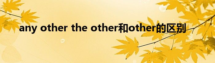 any other the other以及other的差距