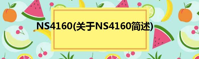 NS4160(对于NS4160简述)