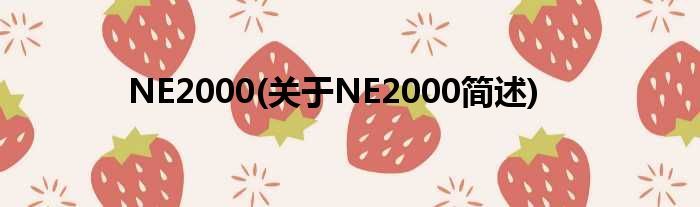 NE2000(对于NE2000简述)