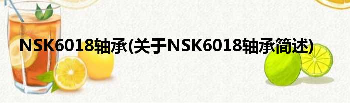 NSK6018轴承(对于NSK6018轴承简述)
