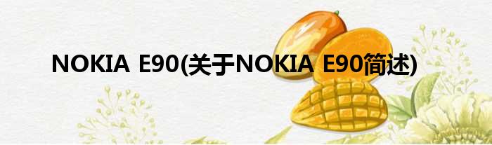 NOKIA E90(对于NOKIA E90简述)