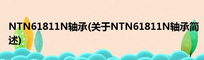 NTN61811N轴承(对于NTN61811N轴承简述)
