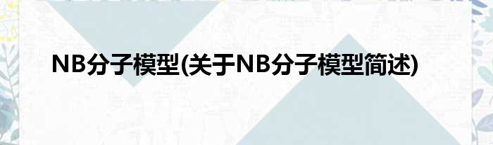 NB份子模子(对于NB份子模子简述)