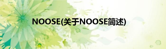 NOOSE(对于NOOSE简述)