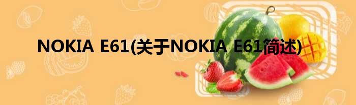 NOKIA E61(对于NOKIA E61简述)