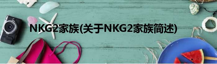 NKG2家族(对于NKG2家族简述)