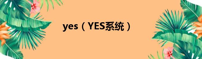 yes（YES零星）