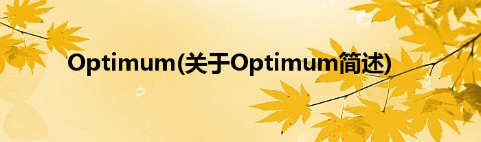 Optimum(对于Optimum简述)
