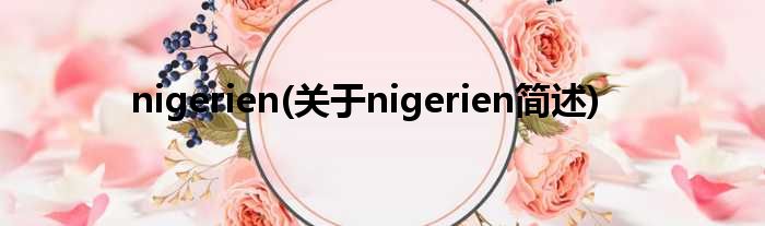nigerien(对于nigerien简述)