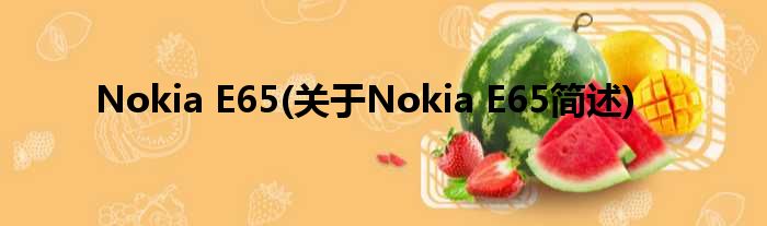 Nokia E65(对于Nokia E65简述)