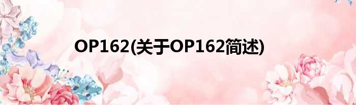 OP162(对于OP162简述)