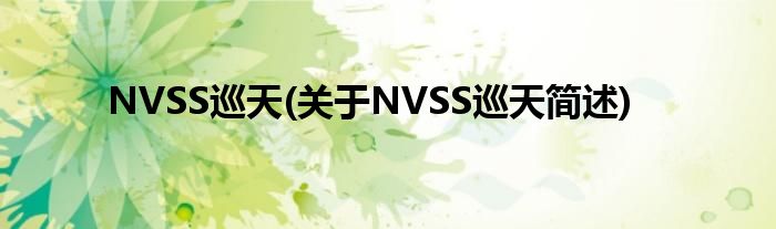 NVSS巡天(对于NVSS巡天简述)