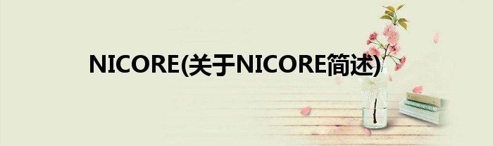 NICORE(对于NICORE简述)