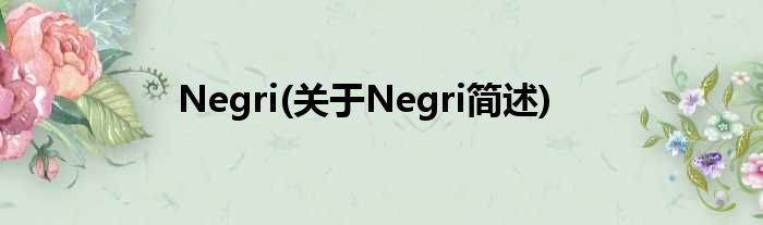 Negri(对于Negri简述)