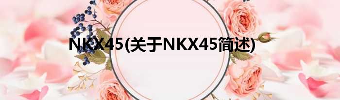 NKX45(对于NKX45简述)
