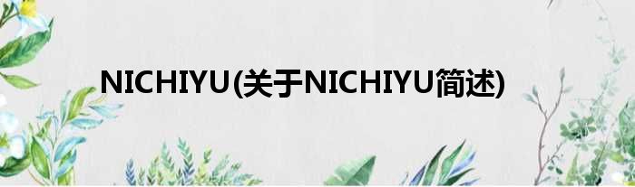 NICHIYU(对于NICHIYU简述)