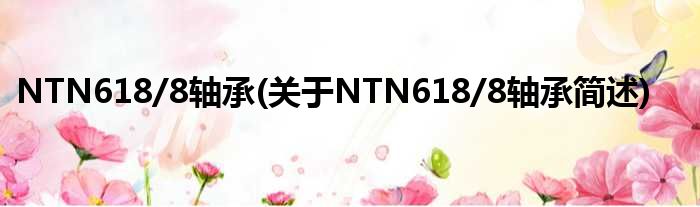 NTN618/8轴承(对于NTN618/8轴承简述)