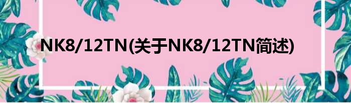 NK8/12TN(对于NK8/12TN简述)