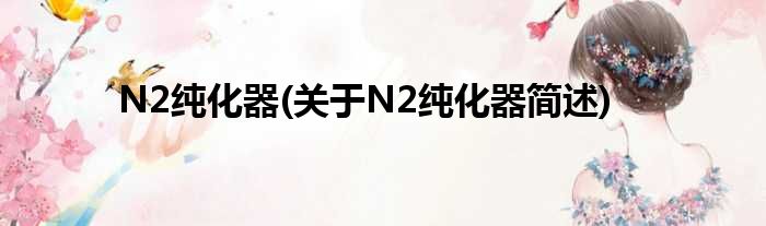 N2纯化器(对于N2纯化器简述)