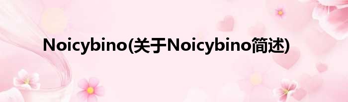 Noicybino(对于Noicybino简述)