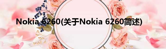 Nokia 6260(对于Nokia 6260简述)