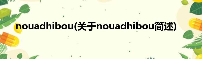 nouadhibou(对于nouadhibou简述)