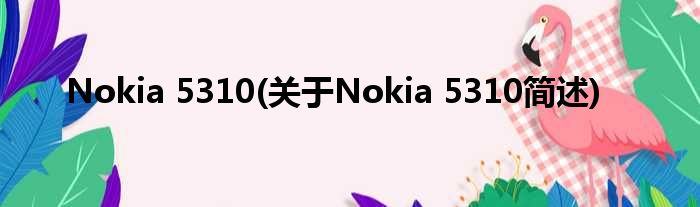 Nokia 5310(对于Nokia 5310简述)