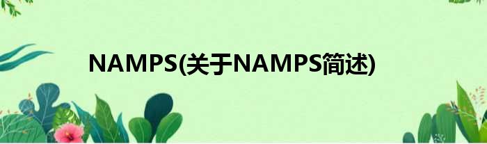 NAMPS(对于NAMPS简述)