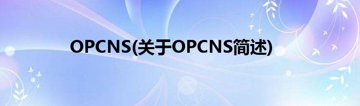 OPCNS(对于OPCNS简述)