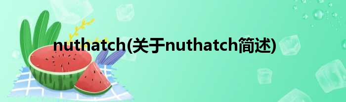 nuthatch(对于nuthatch简述)