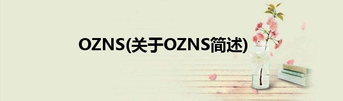 OZNS(对于OZNS简述)