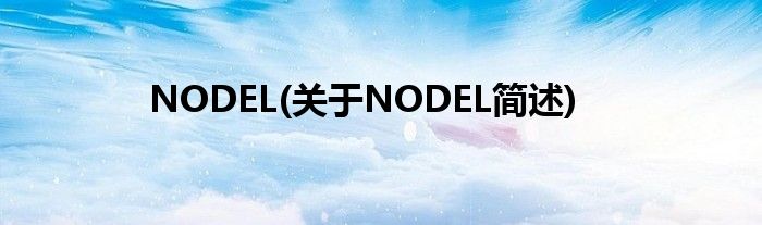 NODEL(对于NODEL简述)