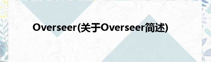 Overseer(对于Overseer简述)