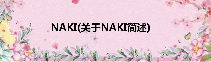 NAKI(对于NAKI简述)