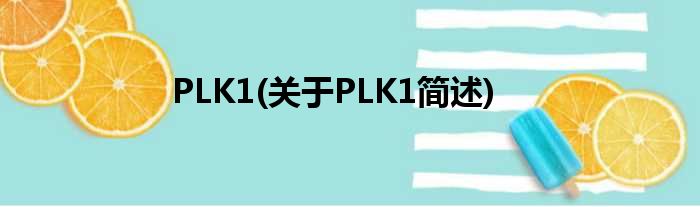 PLK1(对于PLK1简述)