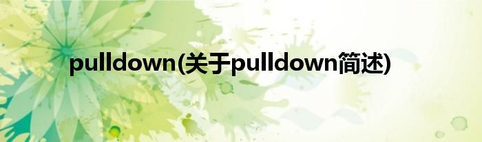 pulldown(对于pulldown简述)
