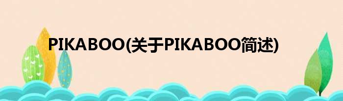 PIKABOO(对于PIKABOO简述)