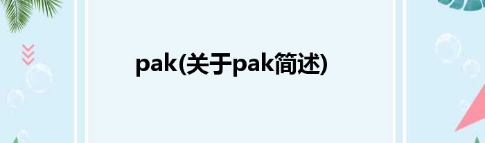 pak(对于pak简述)