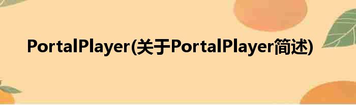 PortalPlayer(对于PortalPlayer简述)