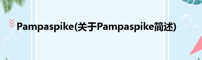 Pampaspike(对于Pampaspike简述)