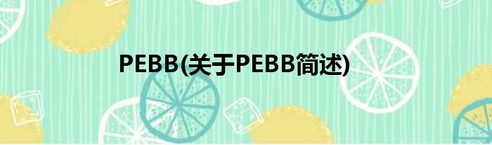 PEBB(对于PEBB简述)