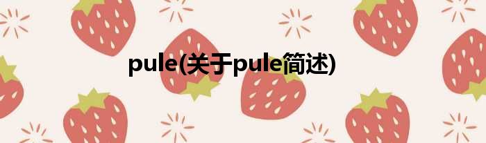 pule(对于pule简述)