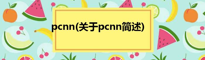 pcnn(对于pcnn简述)
