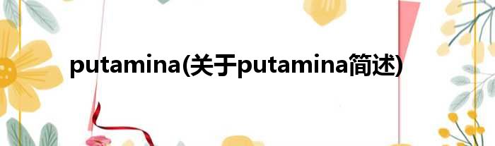 putamina(对于putamina简述)