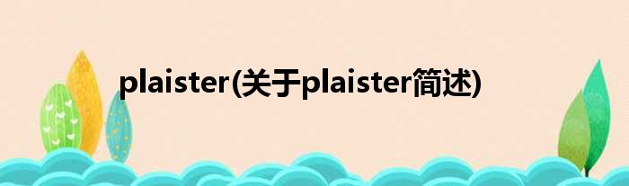 plaister(对于plaister简述)