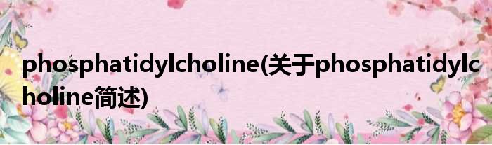 phosphatidylcholine(对于phosphatidylcholine简述)